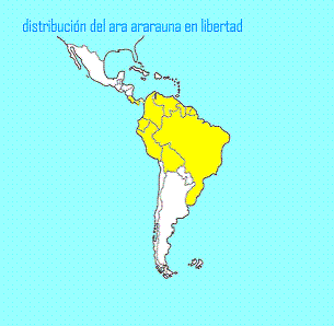 http://www.guacamayos.es/